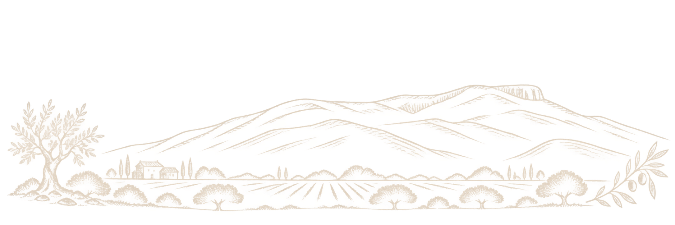 Planina Dečić i maslinjaci – Lučka Olive